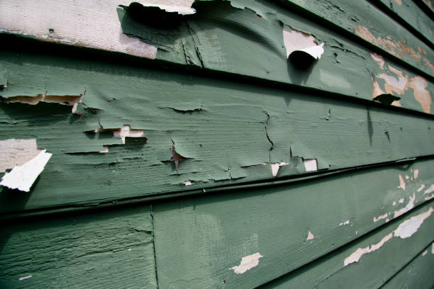 Best Historical Building Siding Restoration  in Southmont, NC