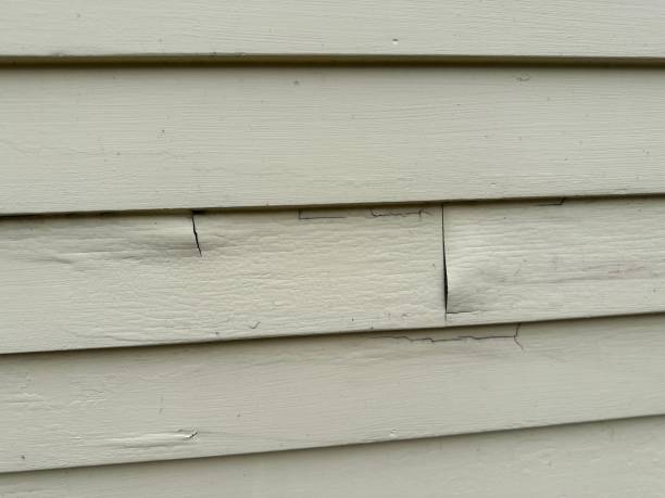 Best Siding Painting and Refinishing  in Southmont, NC